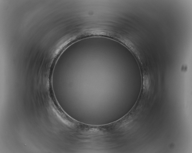 X0000112090390200908111359