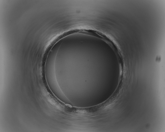 X0000112090391200908111359