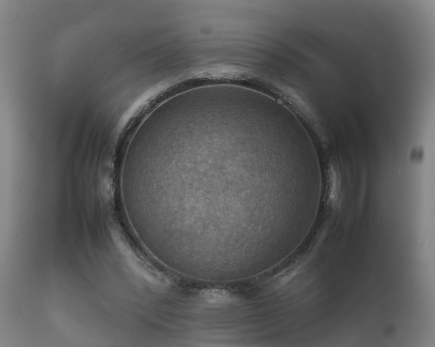 X0000112090392200908111359