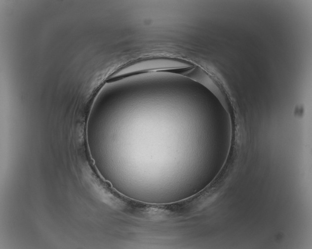 X0000112090393200908111359