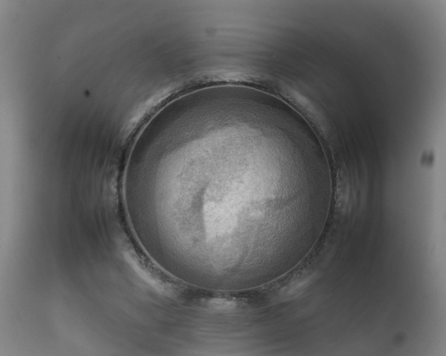 X0000112090394200908111359