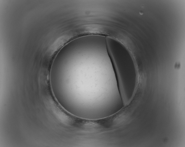 X0000112090397200908111359