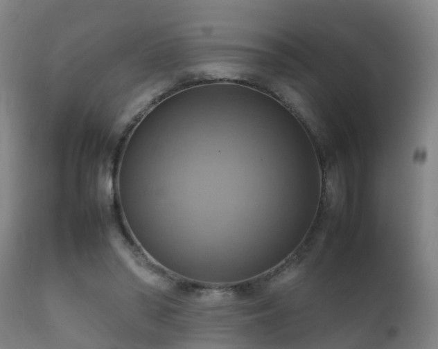 X0000112090398200908111359