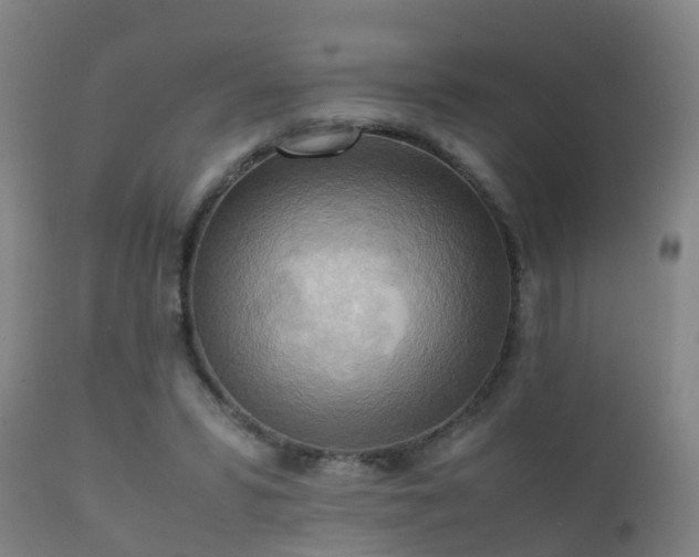 X0000112090399200908111359