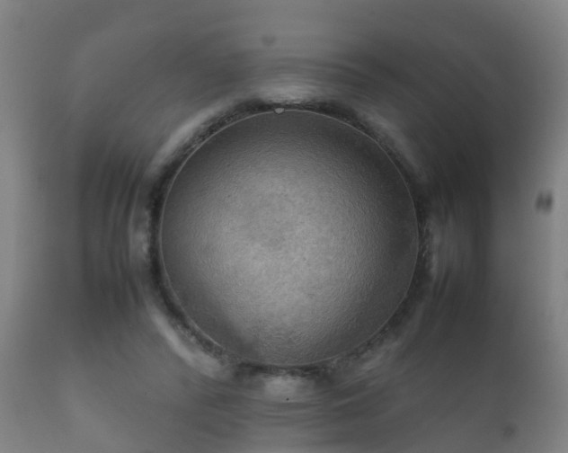 X0000112090400200908111359