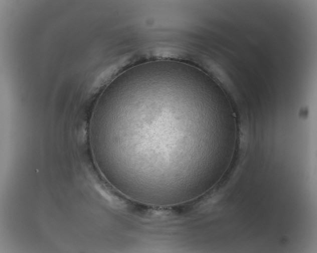 X0000112090401200908111358