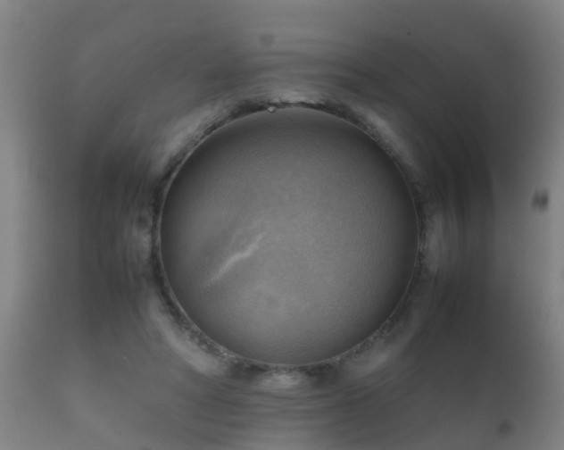 X0000112090402200908111358