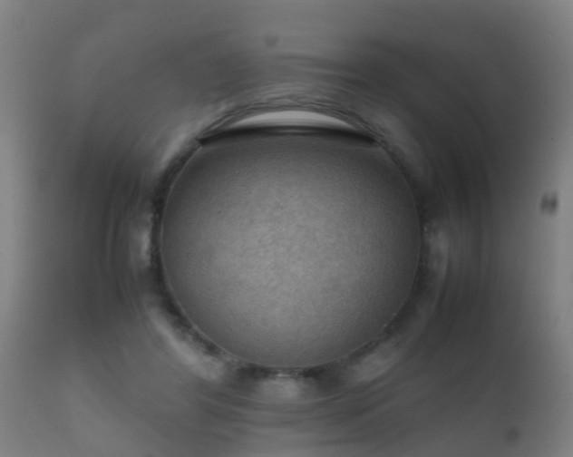 X0000112090404200908111358