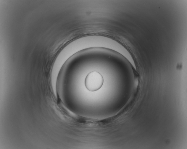 X0000112090405200908111358