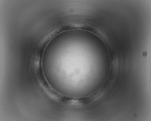 X0000112090406200908111358