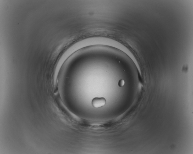 X0000112090407200908111358