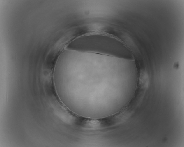 X0000112090409200908111358