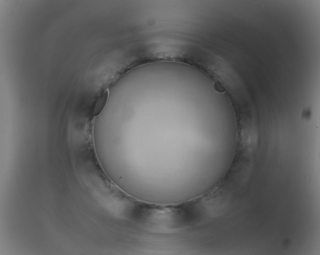 X0000112090411200908111358