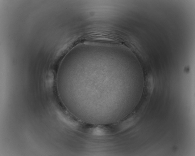 X0000112090412200908111358