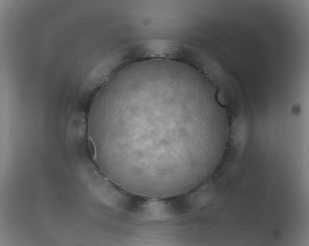 X0000112090413200908111358