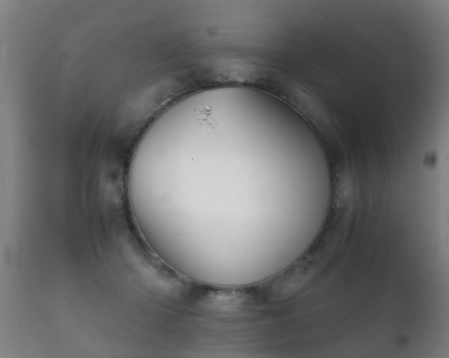 X0000112090414200908111358