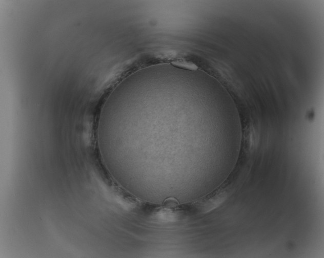 X0000112090416200908111358