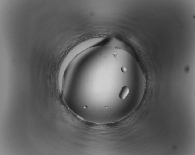 X0000112090417200908111358