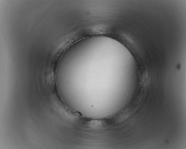 X0000112090418200908111358