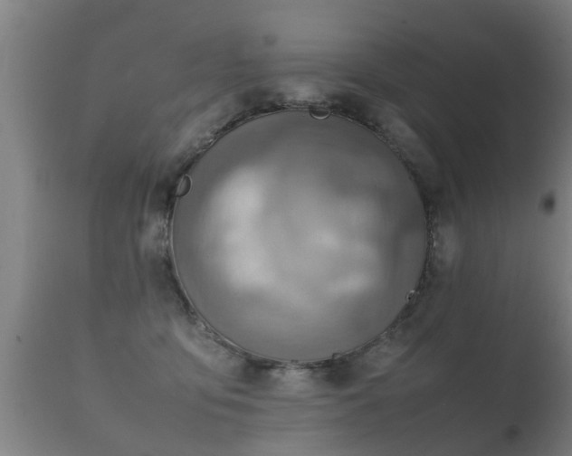 X0000112090419200908111358