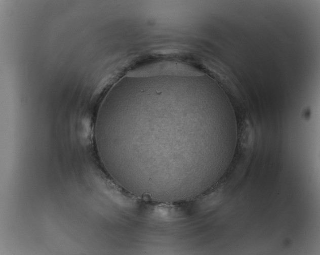 X0000112090420200908111358