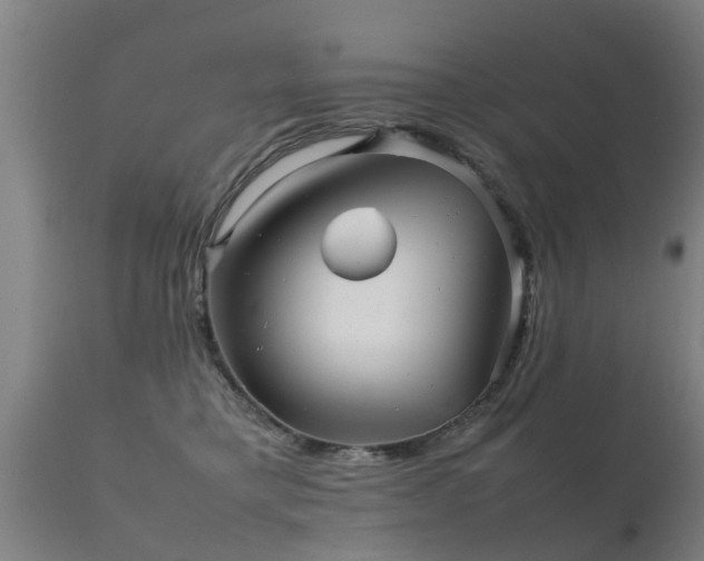 X0000112090421200908111358