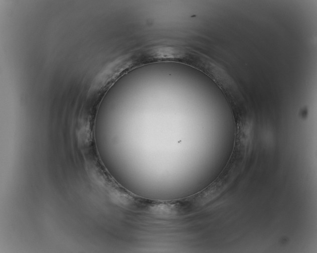 X0000112090422200908111358