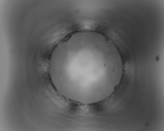 X0000112090423200908111358