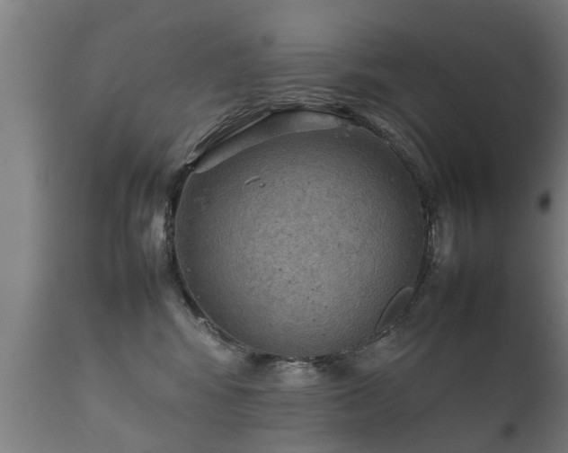 X0000112090424200908111358