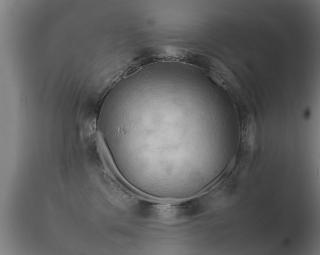 X0000112090425200908111358