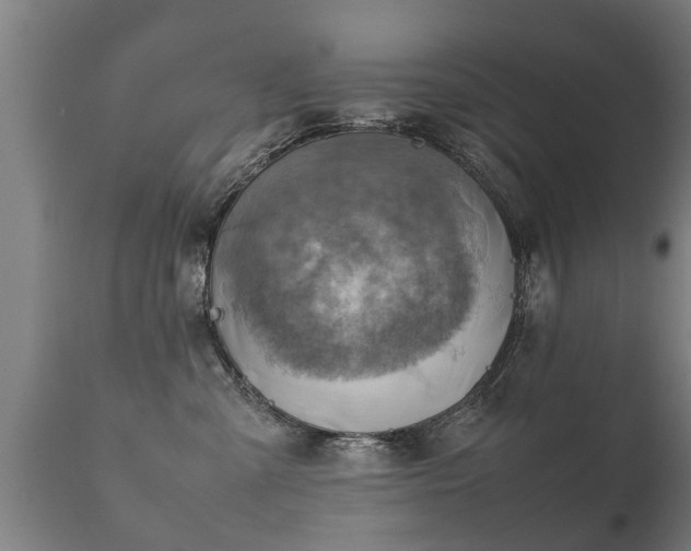 X0000112090427200908111358