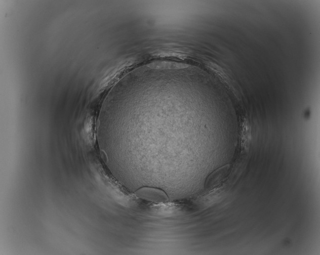 X0000112090428200908111358