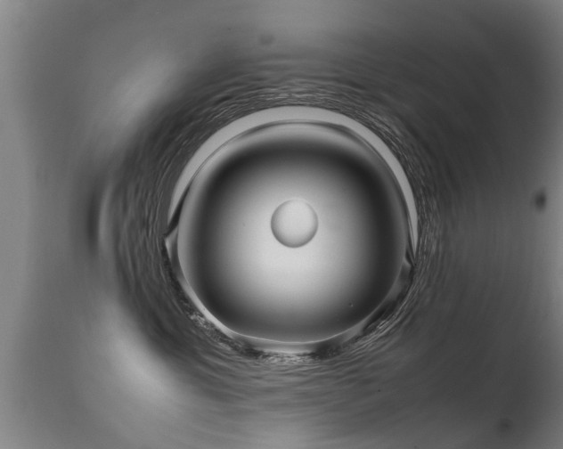 X0000112090429200908111358