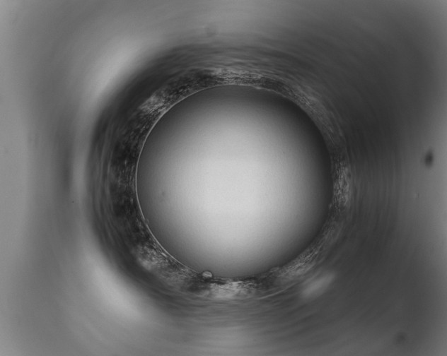 X0000112090430200908111358