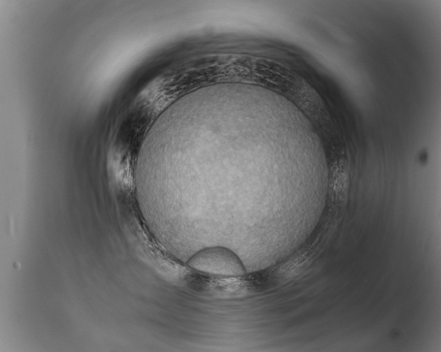 X0000112090431200908111358