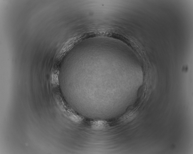 X0000112090432200908111358