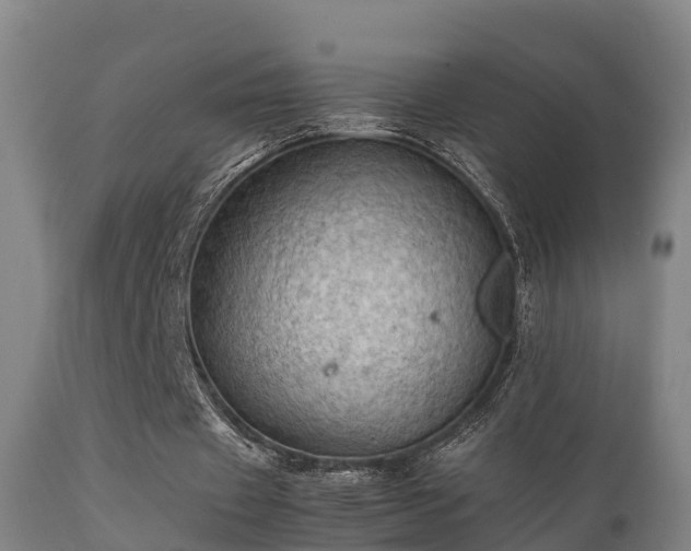 X0000112090433200908111357