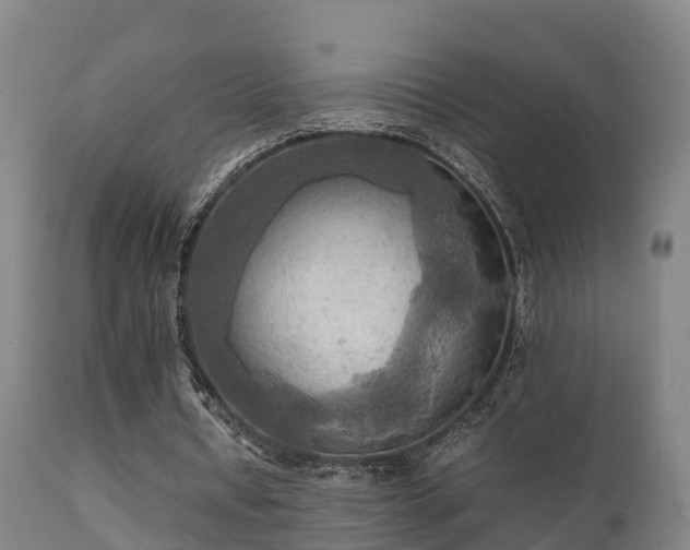 X0000112090434200908111357