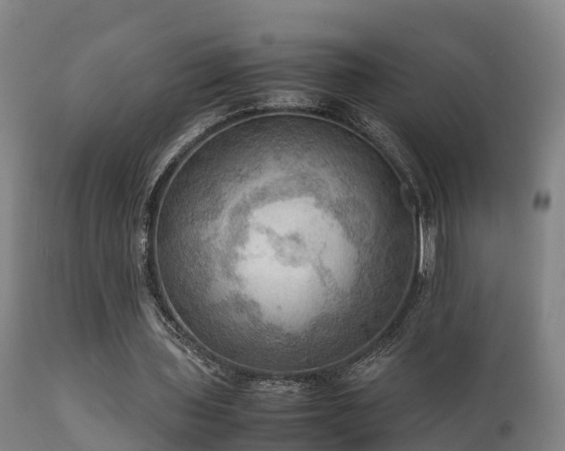 X0000112090435200908111357