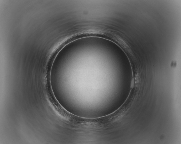 X0000112090436200908111357