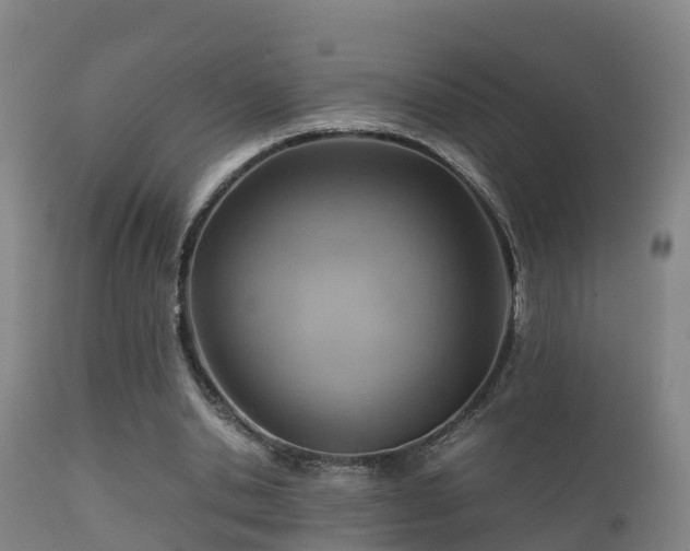 X0000112090438200908111357