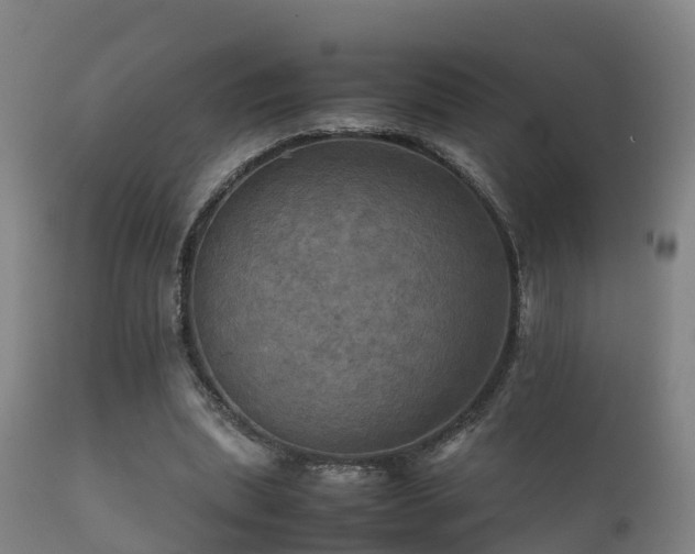 X0000112090439200908111357