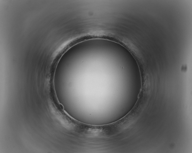 X0000112090440200908111357