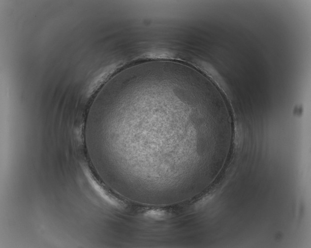 X0000112090441200908111357