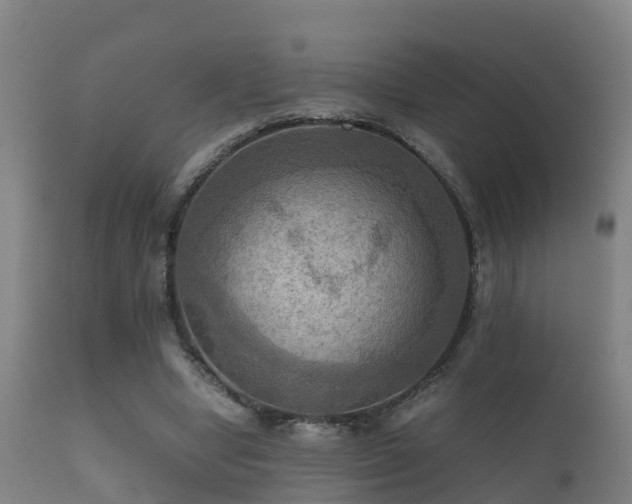 X0000112090442200908111357