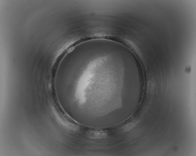 X0000112090443200908111357