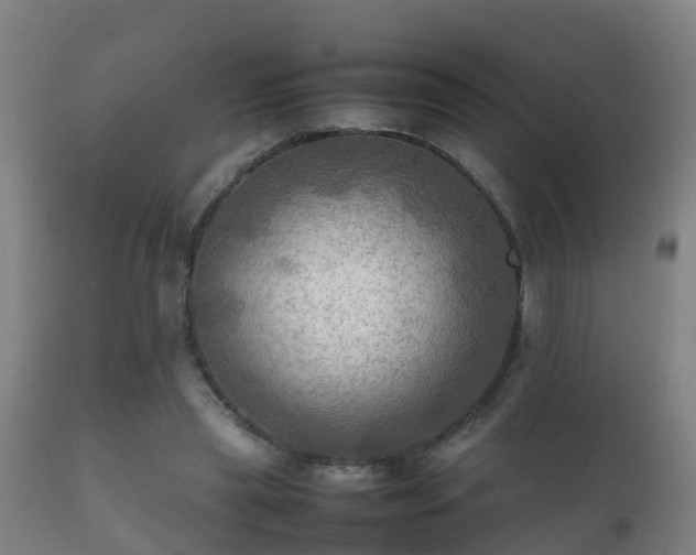 X0000112090445200908111357