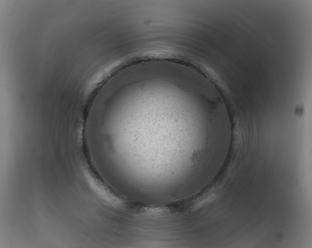 X0000112090446200908111357