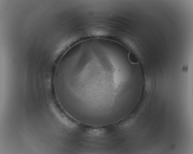 X0000112090447200908111357