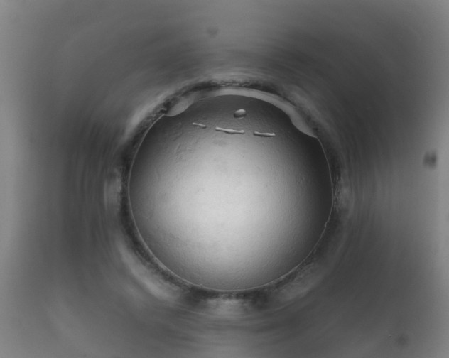 X0000112090448200908111357